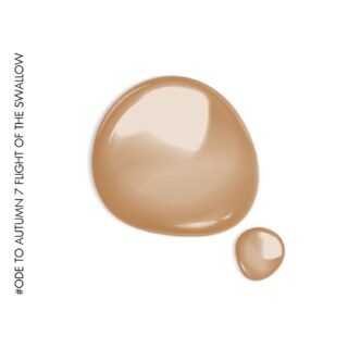 7 Flight of the Swallow